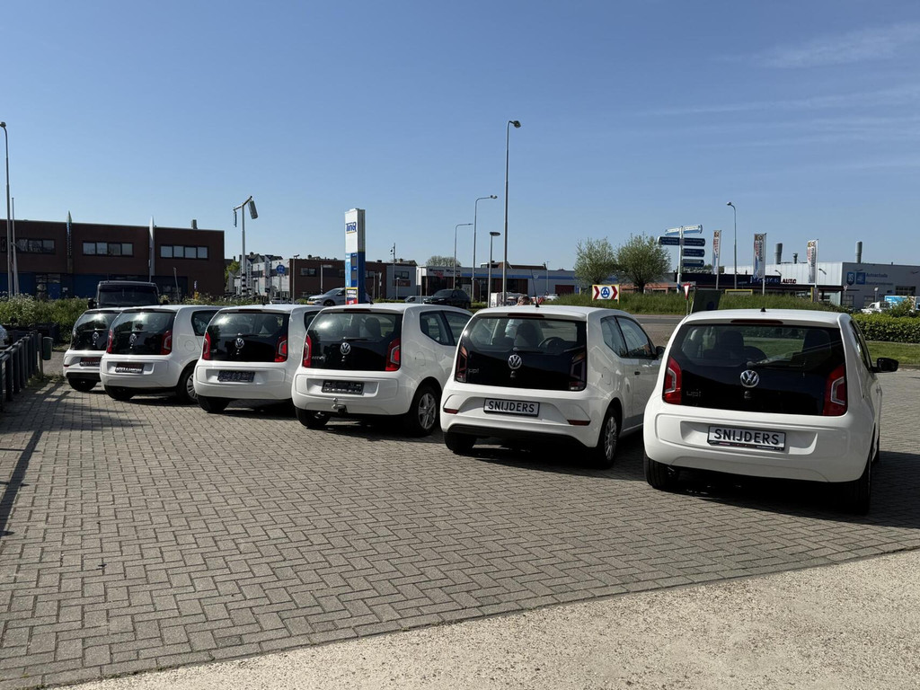 44516575-14.jpg